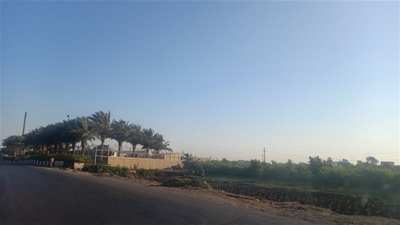 طقس مشمس بالدقهلية