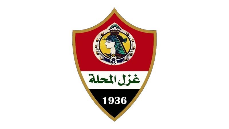 أسهم شركة غزل المحلة