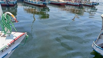 مياه الأقصر تكشف لـ 