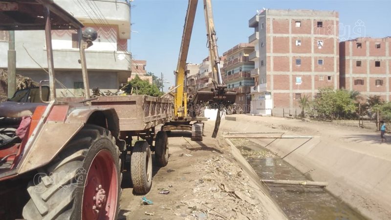 رفع الأسماك النافقة