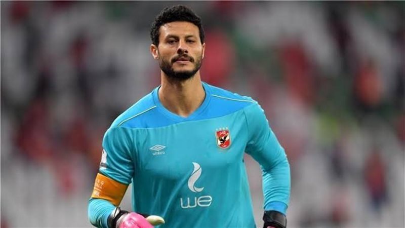 محمد الشناوي 
