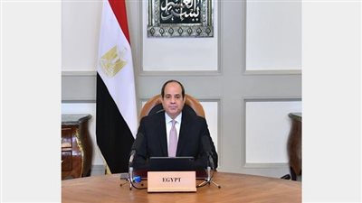 السيسي يستقبل وزير الخارجية والتعاون الدولي الإماراتي