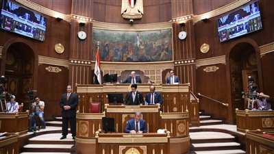 متى يعود مجلس الشيوخ للانعقاد