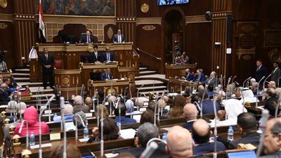 مجلس الشيوخ يوافق على اختصاصات الجمعية العمومية غير العادية بتعديلات قانون الرياضة