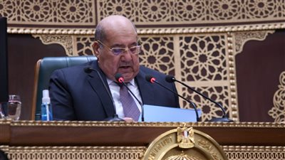 رئيس الشيوخ بذكرى 30 يونيه: استطعنا حماية وطننا من الوقوع في الفوضى 