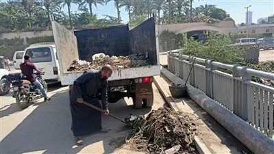 حملة نظافة بالجزيرة الوسطى بطريق مصر أسيوط الزراعي | صور