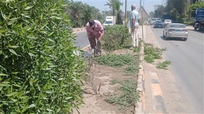 تجميل طريق مصر أسيوط بنطاق الحوامدية | صور