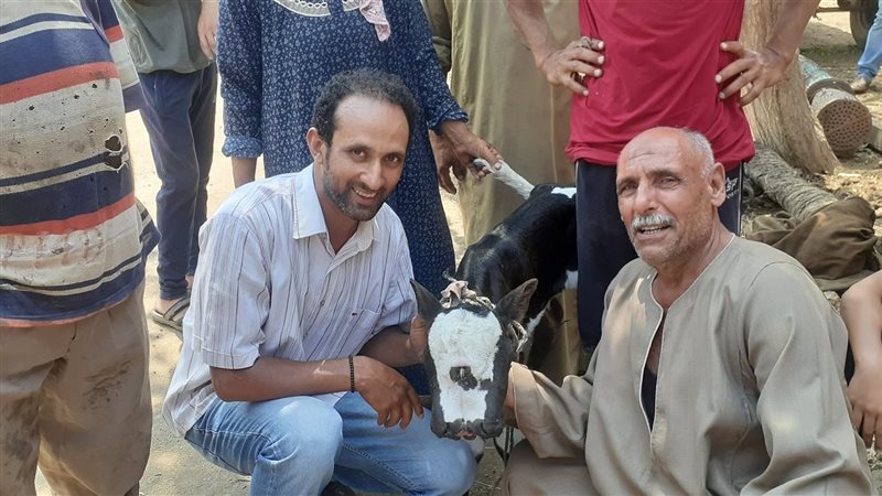 عجل مولود بـ 3 عيون