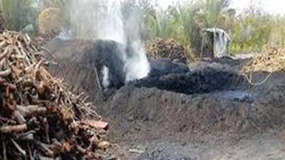  الزراعة تفتح ملف مكامير الموت.. 