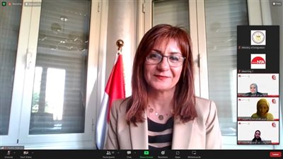 نبيلة مكرم تكشف 4 مقترحات لدعم المصريين في الخارج