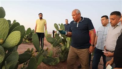 محافظ الوادي الجديد يتفقد أول مشروع لإنتاج التين الشوكي على مساحة 60 فدانا