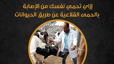 إزاي تحمي نفسك من الإصابة بالحمى القلاعية عن طريق الحيوانات | إنفو جراف