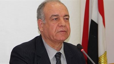 بهاء شعبان: 30 يونيو ملحمة في تكاتف القوى السياسية لإنقاذ مصر