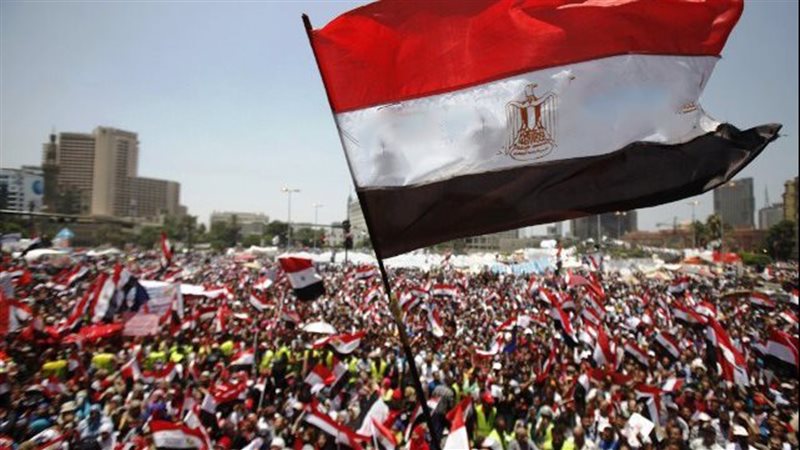 ثورة 30 يونيو، فيتو