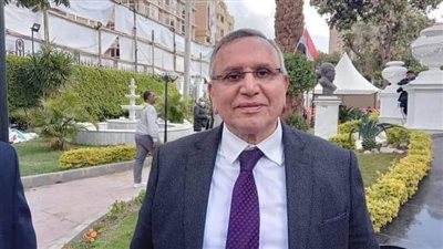 رئيس الوفد: انتخابات الهيئة العليا تحت إشراف قضائي كامل