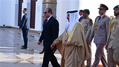  ملك البحرين يهنئ مصر بذكرى ثورة 30 يونيو: مثلت محطة محورية ونقطة فاصلة في تاريخ مصر