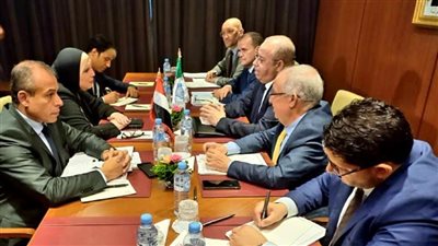 جامع: توافق الرؤى بين الحكومتين المصرية والجزائرية لتوسيع التعاون الاقتصادي المشترك