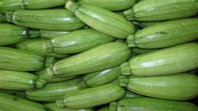 تفسير رؤية الكوسة في المنام وعلاقتها بالخسائر المادية واليأس والإحباط