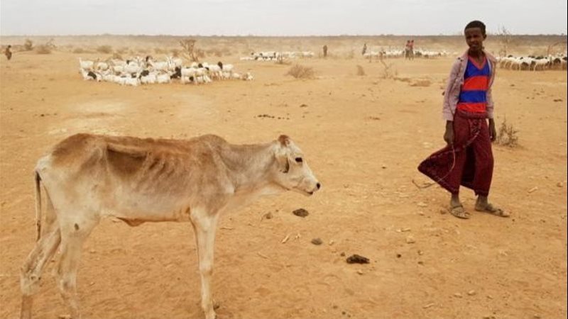 الجوع 