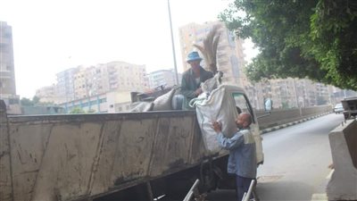 رفع  7069 طن مخلفات في حملة مكبرة بأحياء الجيزة|صور