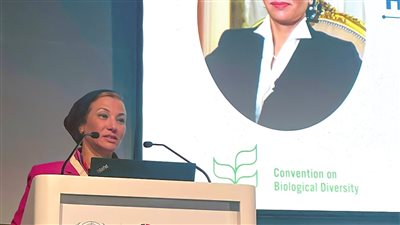 وزيرة البيئة: جائحة كورونا أظهرت للعالم التأثير الواضح لأنشطة الإنسان على النظام البيئي