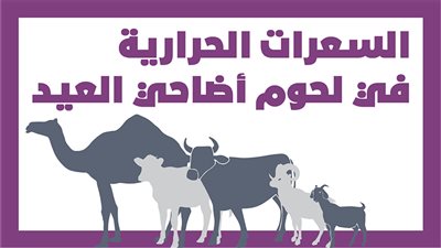السعرات الحرارية في لحوم أضاحي العيد | انفوجراف 