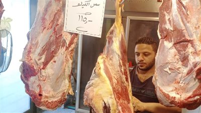 تموين الإسكندرية تستعد لعيد الأضحى بشوادر لحوم والمجمعات الاستهلاكية 