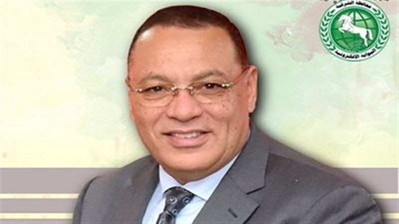 محافظ الشرقية 