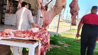 بيطرى الشرقية: تحرير 9 مخالفات بيطرية وتموينية بالمراكز 