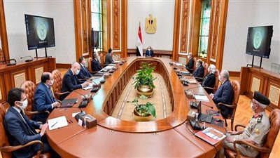 تفاصيل جهود تطوير وتنمية بحيرة المنزلة