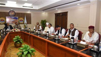 محافظ مطروح وعضو الهيئة البرلمانية يبحثان متطلبات الكهرباء |صور