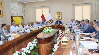  محافظ الوادي الجديد: سحب الأراضي من المستثمرين غير الجادين