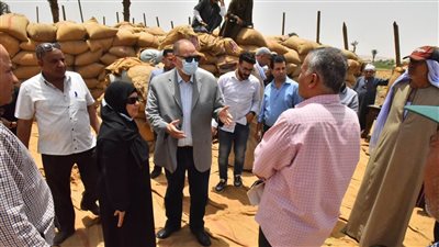 شون وصوامع أسيوط تستقبل 169 ألفا و132 طن قمح محلي 
