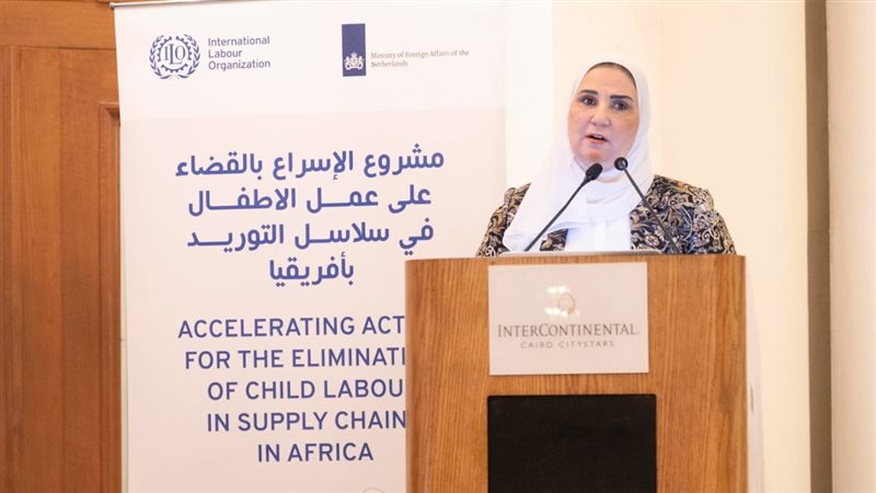 نيفين القباج وزيرة