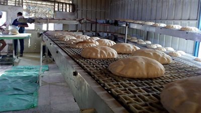 تموين الشرقية: ضبط 11 مخبزا مخالفا في بلبيس 