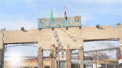 معلومات الوزراء تكشف دور مصنع أبو قرقاص للسكر في دعم الاستهلاك المحلي (فيديو)