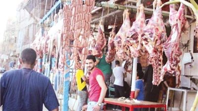 محافظ الجيزة يتفقد معرض فيصل للحوم استعدادا لعيد الأضحى | فيديو 