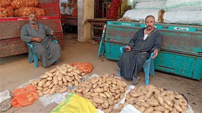  انخفاض أسعار الخضار والفاكهة بسوق الجملة في المنصورة | فيديو 