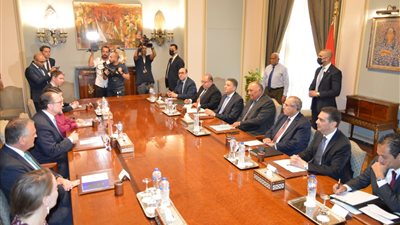 بدء جلسة مباحثات بين مصر والنمسا برئاسة وزيري خارجية البلدين بالقاهرة 