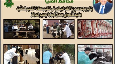 محافظ المنيا يشدد على متابعة الأسواق تزامنا ًمع عيد الأضحى 