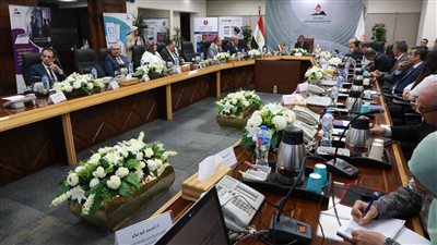 شركات الصناعات الهندسية تطالب الحكومة بإطلاق استراتيجيات لتوطين صناعة السيارات