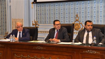 مجلس النواب يعلن عن تشكيل لجنة لمتابعة حل أزمة الدواجن