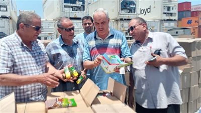 جمارك دمياط تضبط محاولة تهريب منشطات وسلع غذائية محظور تصديرها