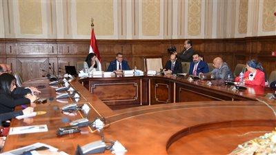 وزيرة التعاون الدولي: التمويل التنموي في 2021 بلغ 8.7 مليار دولار