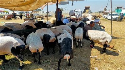 غرفة عمليات بـ