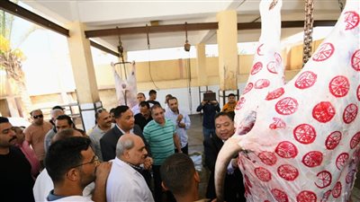 فتح 4 مجازر أمام المواطنين بالمجان خلال عيد الأضحى بجنوب سيناء 