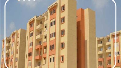 لحاجزي أراضي الإسكان المتميز.. احذر 8 حالات لسحب الأرض وإلغاء التخصيص| إنفوجراف