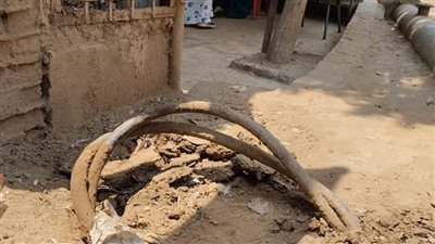 صيانة كشافات الإنارة ودفن الكابلات في حملة بأبو النمرس | صور