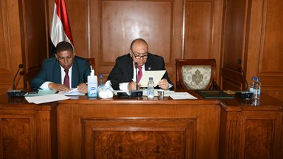 نقل البرلمان تناقش إنشاء كباري وطرق بالمنيا وأسوان