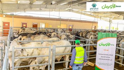 التحالف الوطنى للعمل الأهلي التنموي يطلق أكبر حملة لتوزيع لحوم الأضاحي بنصف مليار جنيه | صور